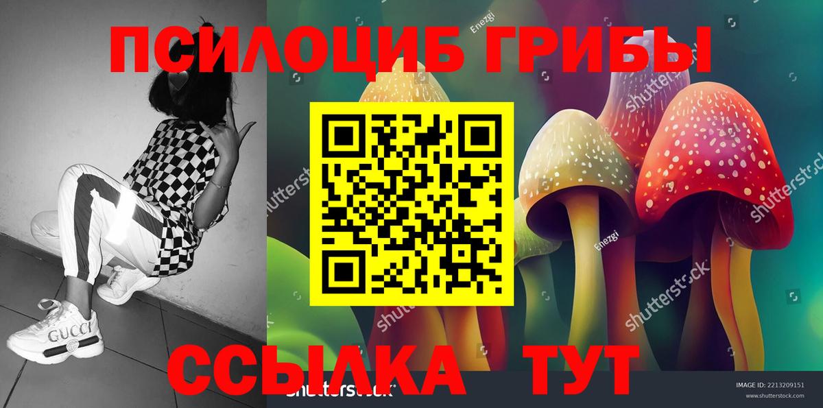 Псилоцибиновые грибы Psilocybine cubensis  Вход с VPN  Набережные Челны 